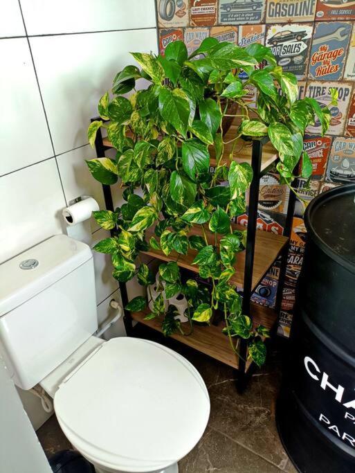 Tiny House Paraiso Minicasas Com Hidromassagem 民宿 *